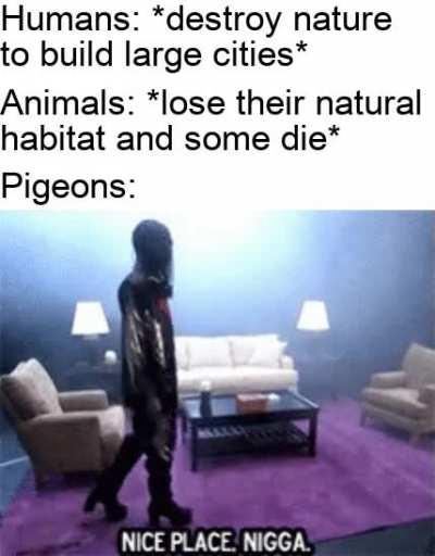 Can shit on every building