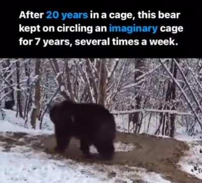 Cages are in your head