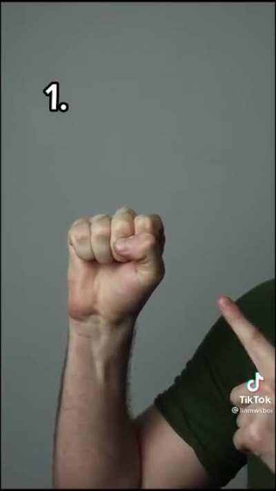 It works on mountain cougars.