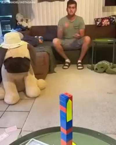 Next level card trick