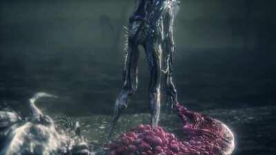 Me getting out of bed to check the daily update: