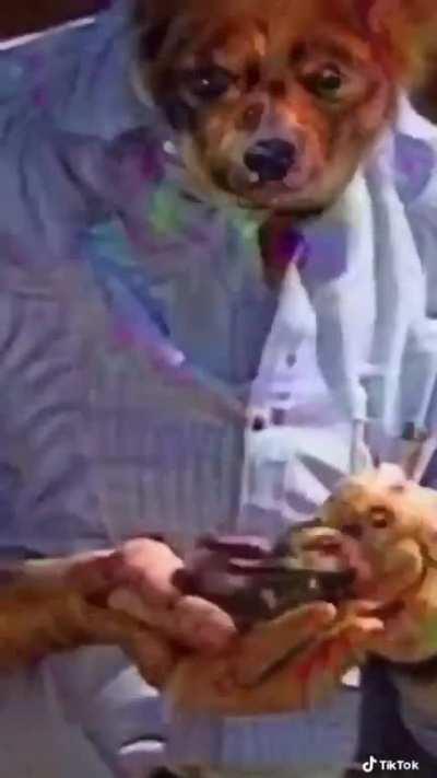 blink while watching and comment what you see