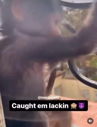 Clamming my shit rn I'm clammy as fuck man