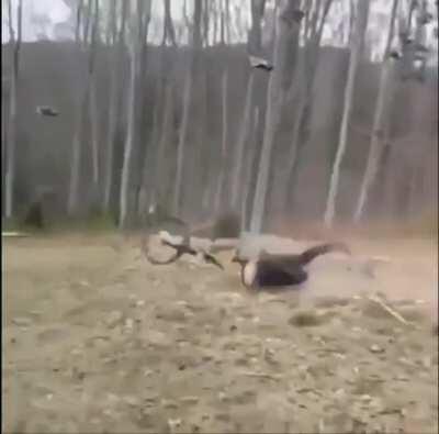 HMFT after I fall