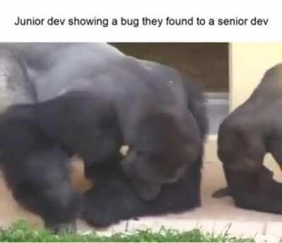 lol totally relatable