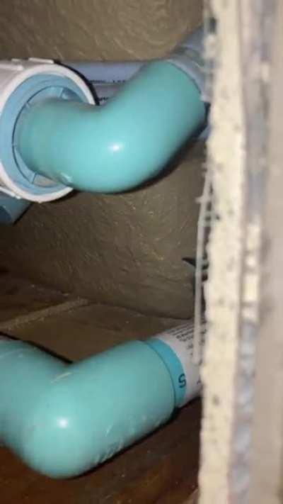 This little kitten we found won’t stop hiding, she’s so cute though. Her names tuba