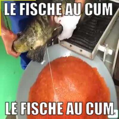 No fuckign way guys!!!!!!