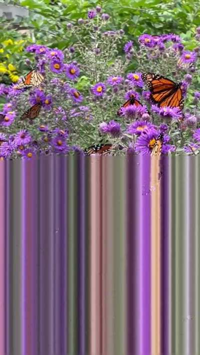 Yesterday was a magical day