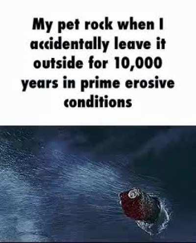 Rest in Very Small immaculate Specs of Dust.... Rocky...