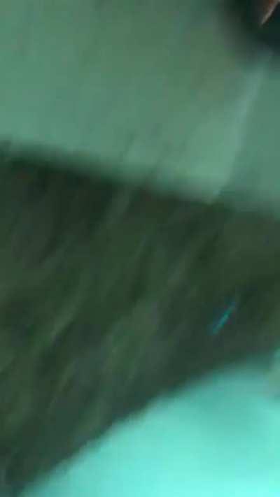 When the skyline of NYC turned blue due to a transformer explosion at con Edison. This was down the block from my house. video isn’t the most abrupt but it was the most chaotic thing I ever seen with my own eyes.