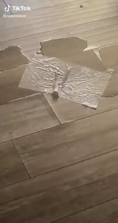 Kid tried cleaning up a spill with one paper towel