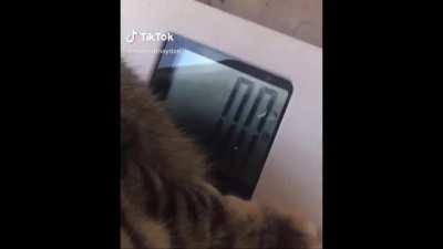 “Zero pounds?” ......”AAE”