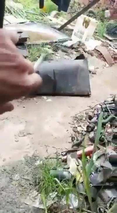 Teu pai chamando meliciano pra f1