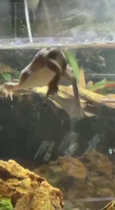 Спортивный я