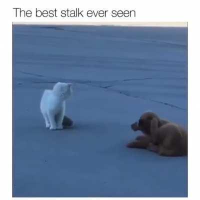 Just scratching my ear