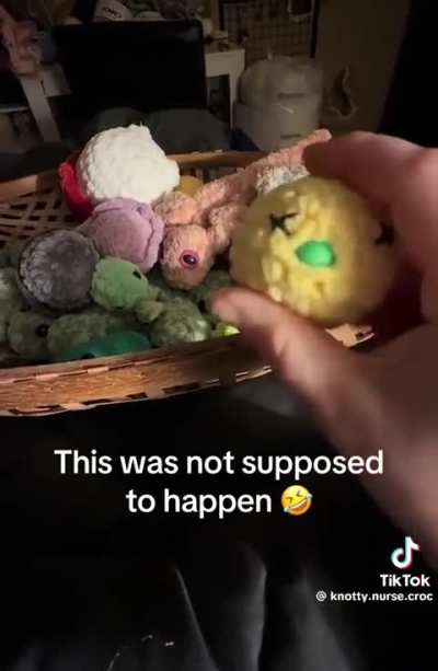 This was not supposed to happen