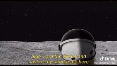 Los últimos momentos de cheems