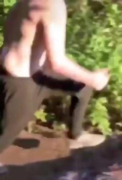 HMRB while I jump into the water