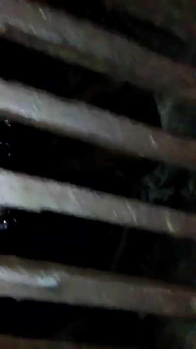 Florida Man Stuck In Sewer, Sings Amazing Grace to Ease His Nerves. Spectator is not amused