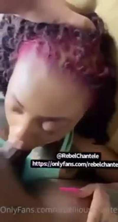 canilive601 - Video #4354