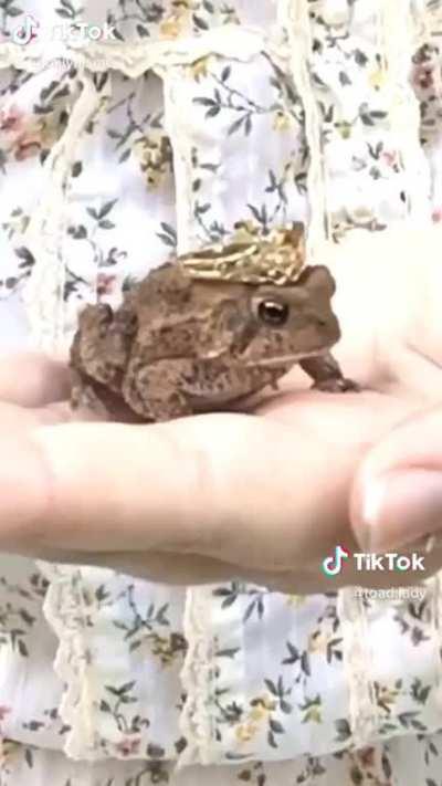 It’s come to my attention we don’t have enough frogtent