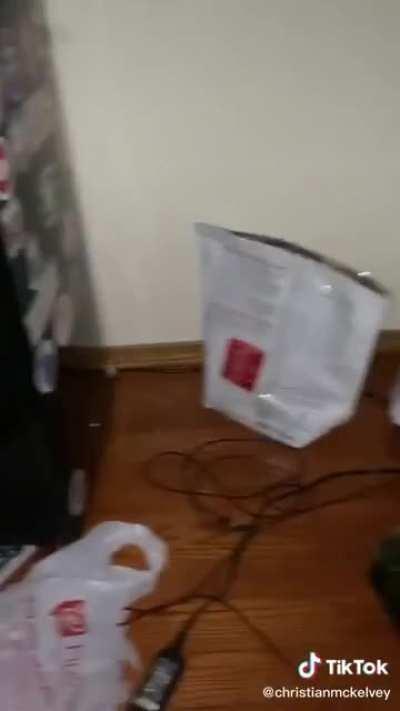 When you find a hamster in your room at 4am at school but you don’t have a pet hamster