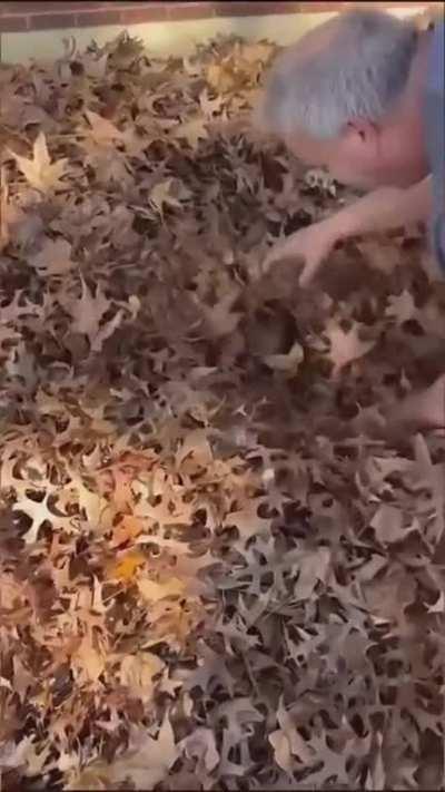 to bond with his grandchild