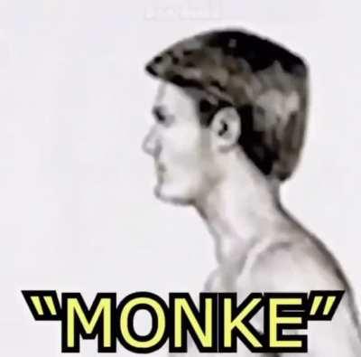 Reject humanity, become monke