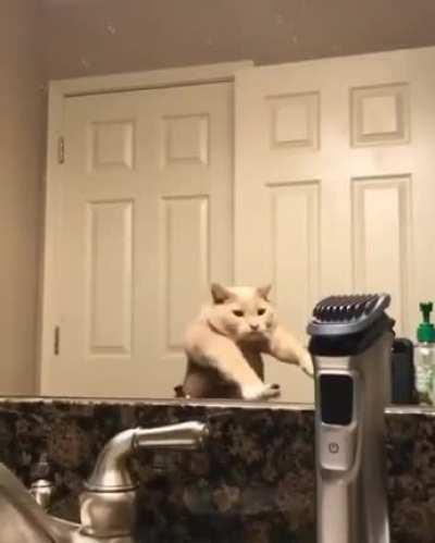 It's not my fault, its quarantine