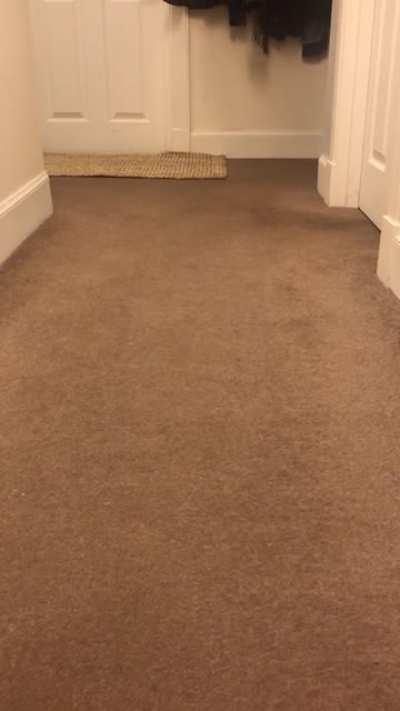 They’ve finally learned to come when they are called!