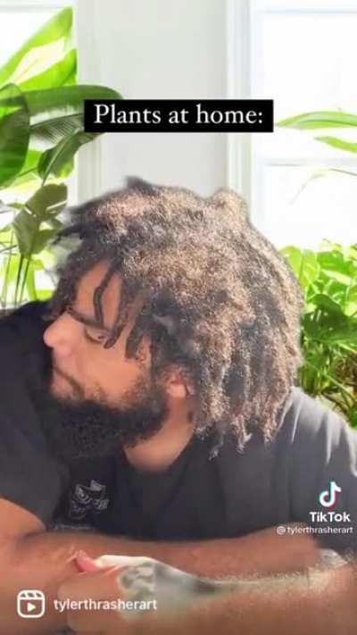 Outside Plant vs Inside Plant