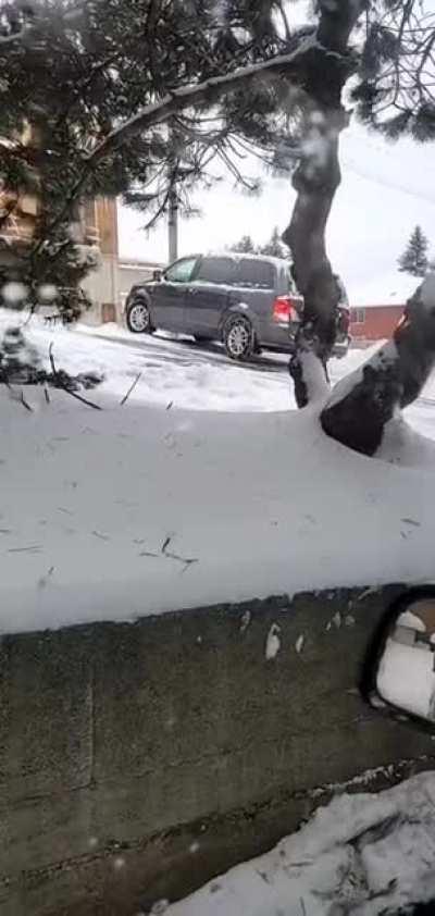 More idiots with their chains on the wrong tires