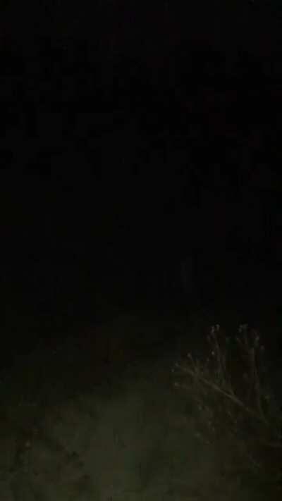 Skin walker spotted in Northeast US.