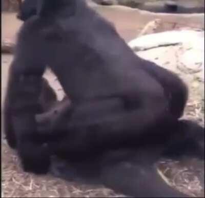 he had to go bananas one time