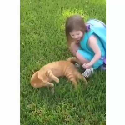 Instructions unclear