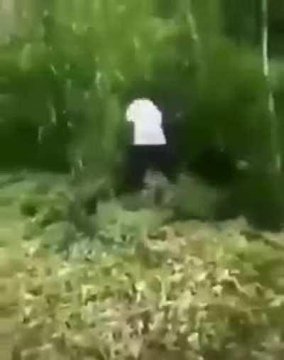 It may not be much but it's honest work