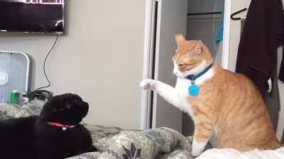 When your game unfreezes and all the button clicks act at once