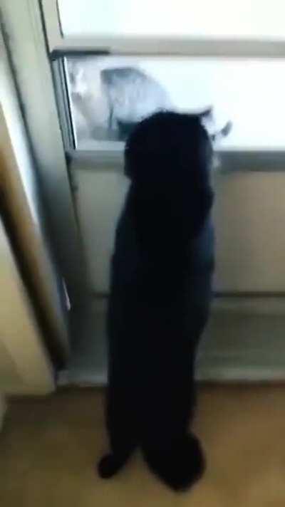 AAAAAAAAAAAAAAAAAAAAAAAAAAAAAAAAAAAA