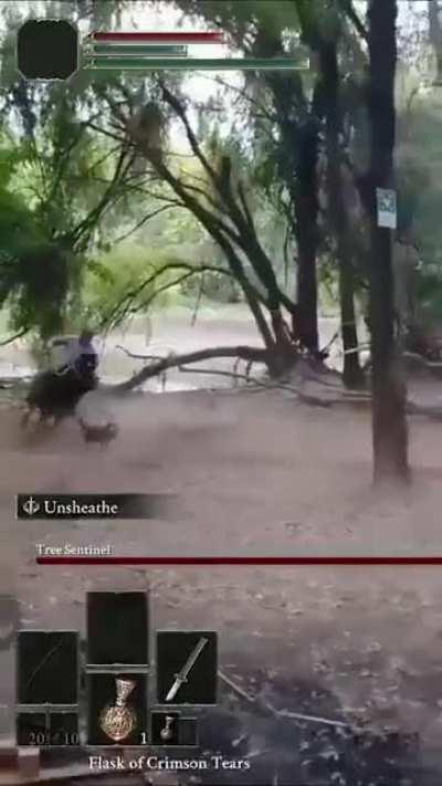 Enrico, Tree sentinel of the lost Forest