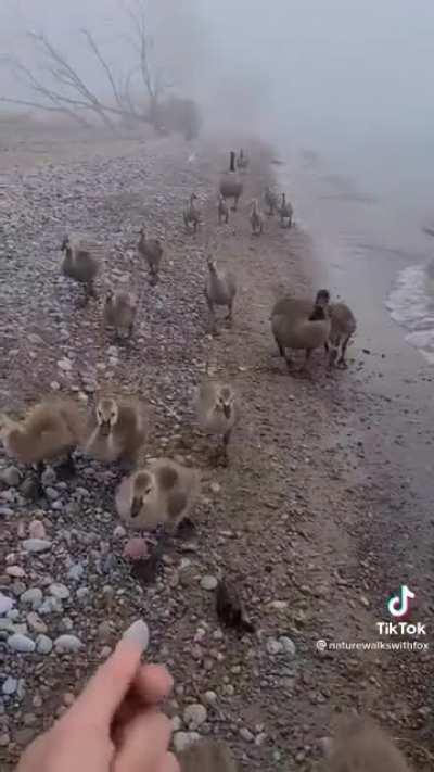 “All right everyone gather around for a group photo”