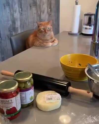 Sitting at the Chef’s Table