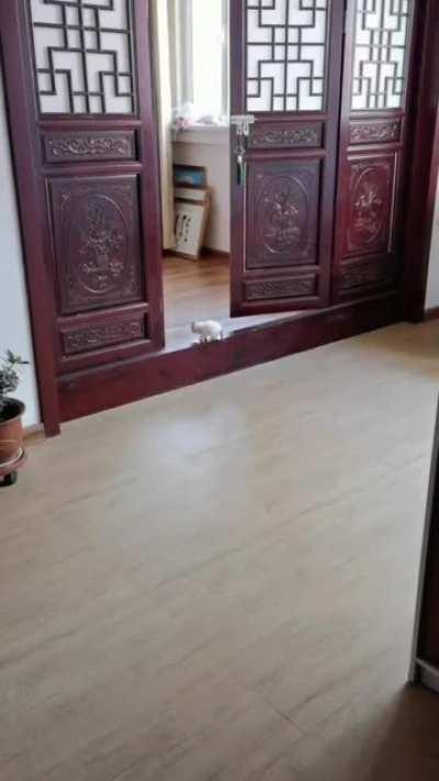 If you try, you can make it