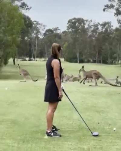 Golf in Australia