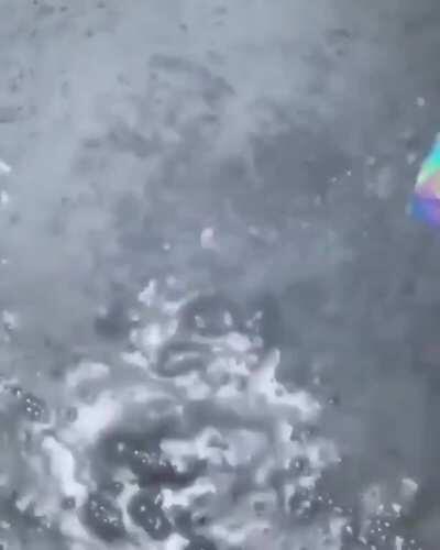 Fake holo bath bomb. Please 👆🏻