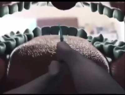 Drake the type of dude to do this