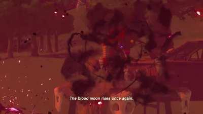 Too late to realize I chose the wrong place to start a campfire lmao 😂