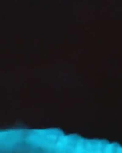 Bioluminescent algae in Jervis Bay