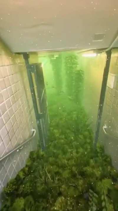 taking the submechanophobia... way