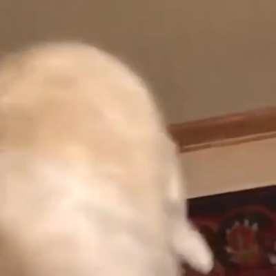 На случай повторения карантина