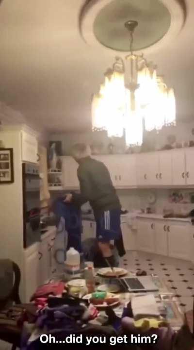 Irish family try to get a bat out of the house